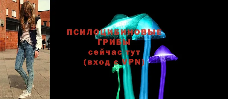 Галлюциногенные грибы Psilocybe  наркотики  Ветлуга 